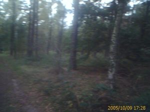 640x480 sport 5