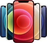 Apple iPhone 12 couleurs résumé