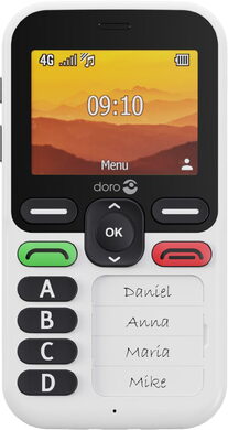 Doro Leva X10 (DFB-0580)