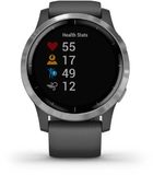 Garmin vivoactive 4 Silver Grey