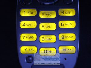 Sony Ericsson Z300i 20