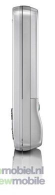 T303 linke Seite Shimmering silber