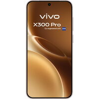 Vivo X300 Pro