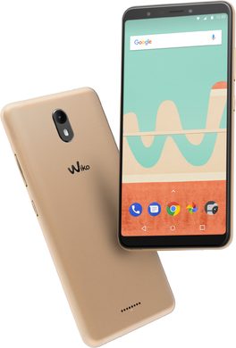 Wiko View Go gold overview